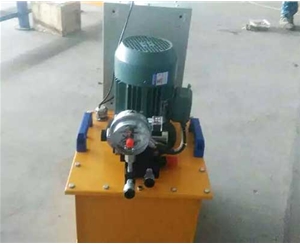 标准电动泵供应生产